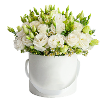 פרחים בקופסא